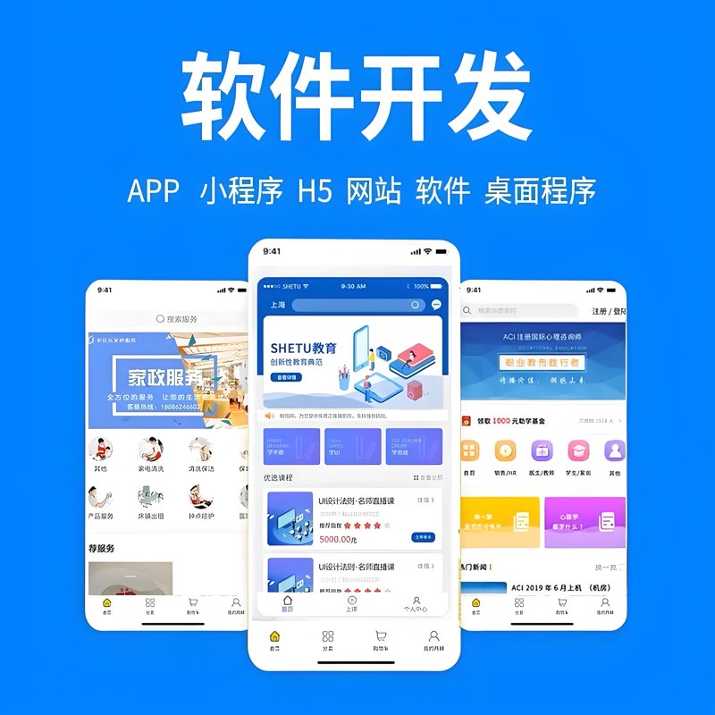 软件开发：上海在数字浪潮中引领风骚
