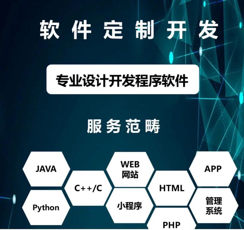 软件定制开发：打造专属企业级伙伴